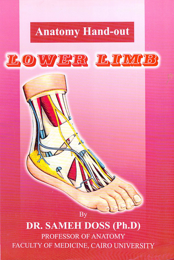 SAMMEH DOSS LOWER LIMB